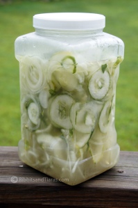 Cool Classic Cucumber Salad